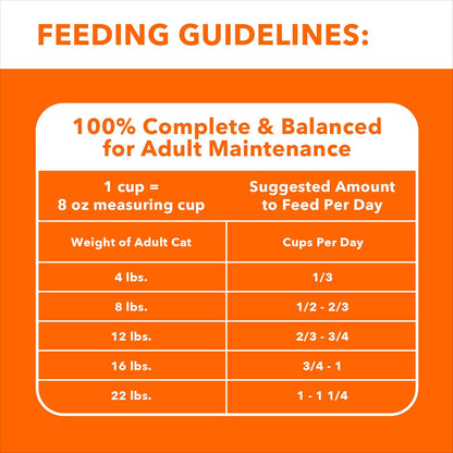 IAMS Healthy Enjoyment Dry Cat Food Chicken & Salmon Recipe, 3 lb. Bag