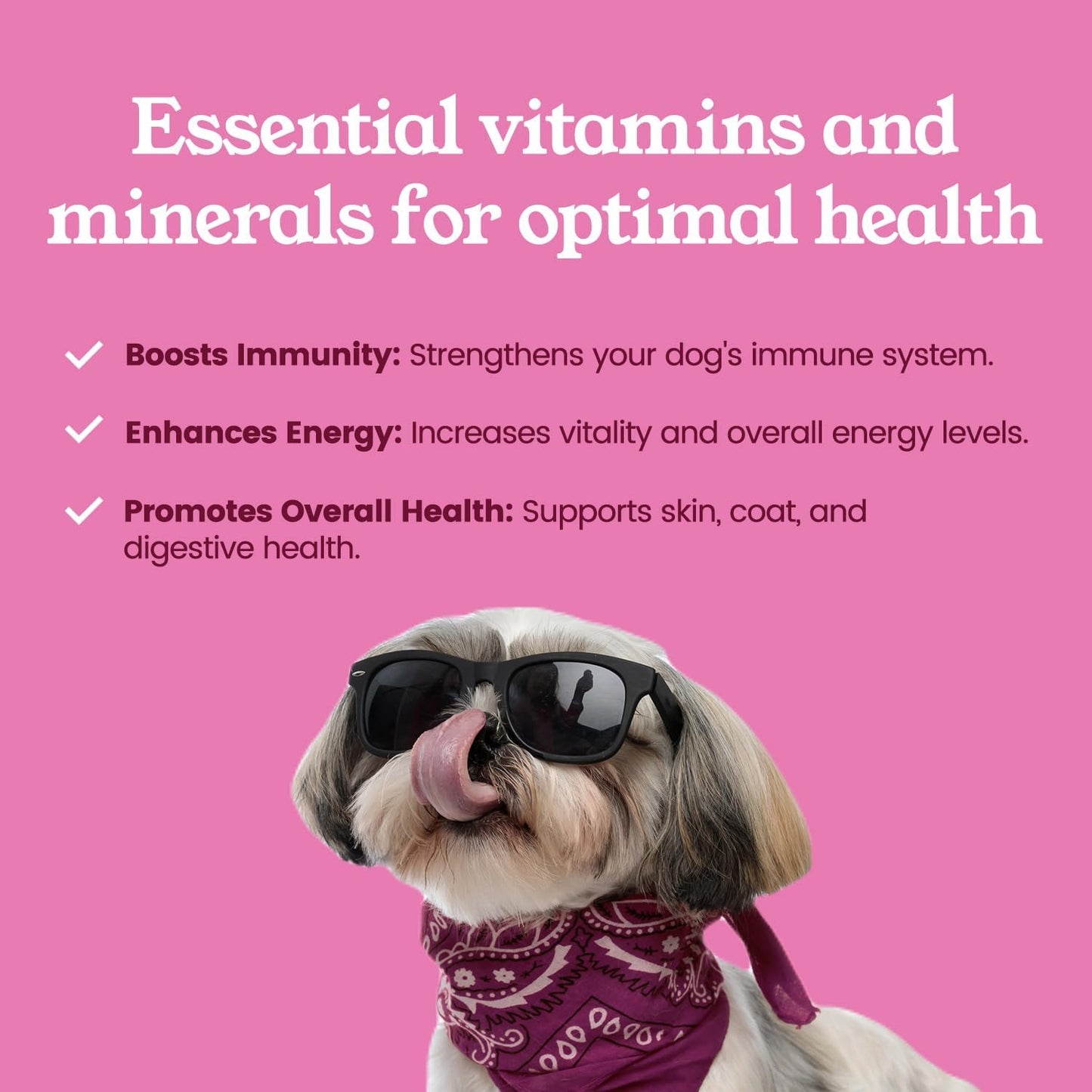 Multivitamin Chews for Dogs with Essential Vitamins & Minerals – Supports Immune System, Energy Levels, Skin, Coat, and Digestive Health – 90 Soft Chews