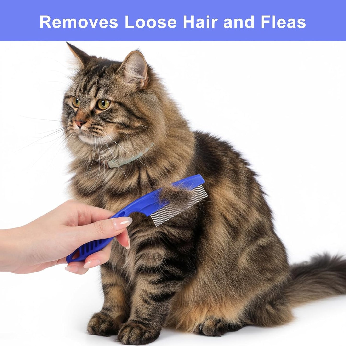 6-Pack Cat Flea Brush Flea Comb for Cats Stainless Steel Lice Comb Set Dog Brush Double-Sided Tear Stain Remover Pet Grooming Kit for All Types of Small Medium Large Pets (Blue)