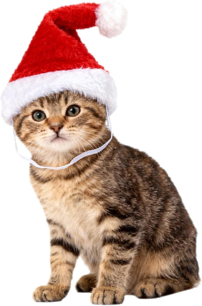 Wildarms Pet Adjustable Santa Hat Small Dog Cats Christmas Costume Accessories Puppy Kitten Christmas Outfit (Red)