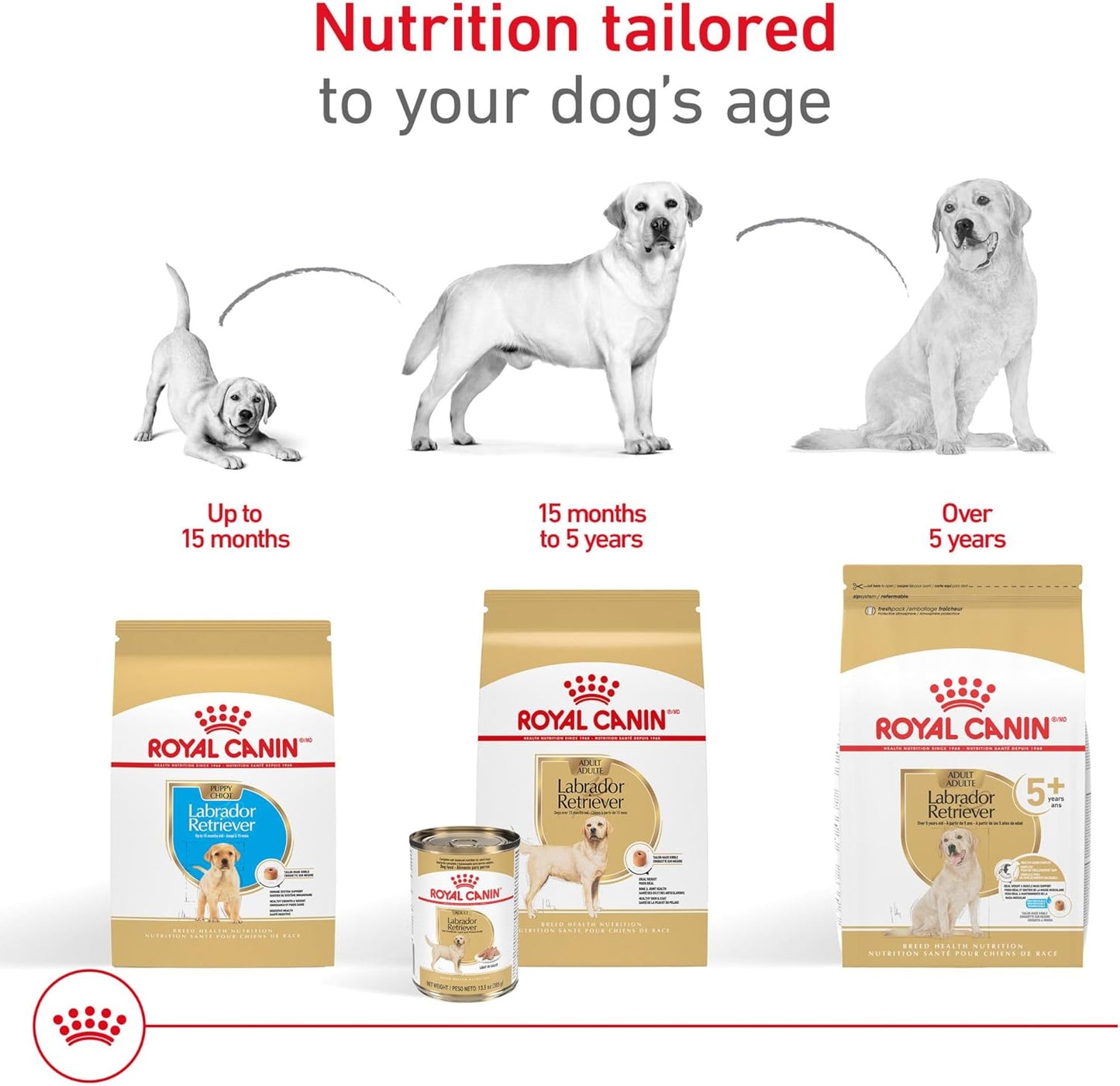 Royal Canin Breed Health Nutrition Labrador Retriever 5+ Mature Dry Dog Food, 28 lb Bag