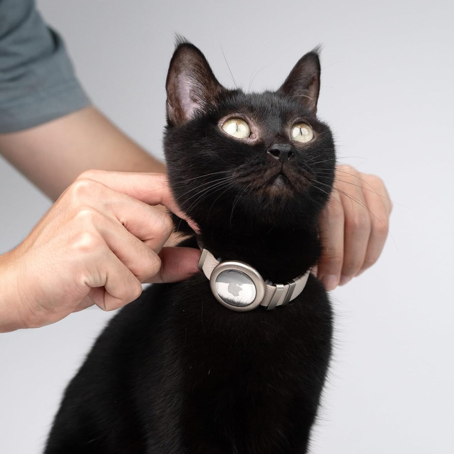 Safety Cat Collar Pro Airtag Holder Set, US IDA Gold Award Cat Collar with Snap, Non Breakaway Elastic Release Cat Airtag Collar Airtag Case for Small Medium Large Cats (Glacier Silver, S)