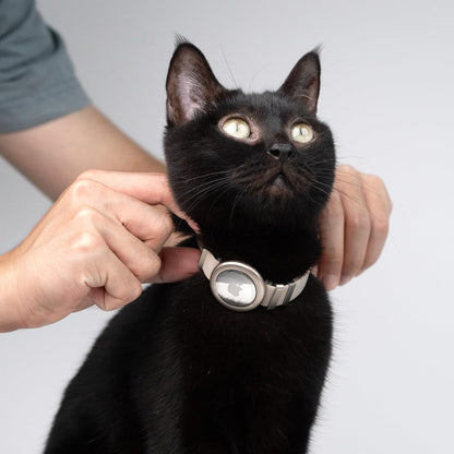 Safety Cat Collar Pro Airtag Holder Set, US IDA Gold Award Cat Collar with Snap, Non Breakaway Elastic Release Cat Airtag Collar Airtag Case for Small Medium Large Cats (Glacier Silver, S)