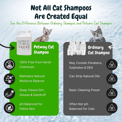 Petway Petcare Cat Shampoo, Natural Dandruff Shampoo, pH Balanced Cat Grooming Supplies with Plant Derived Surfactant, Free of Fragrance, DEA, Phosphates, Parabens & Enzymes, Removes Oil and Dirt, 5 L