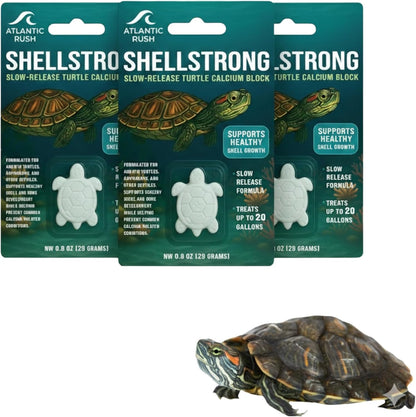 Shellstrong Premium Calcium Block for Aquatic Turtle - Slow Release Water Tank Conditioner - Cuttlebone for Aquarium - Turtle Tank Accessories - 20 Gallon Aquatic Tank Treatment (3 Calcium Blocks)