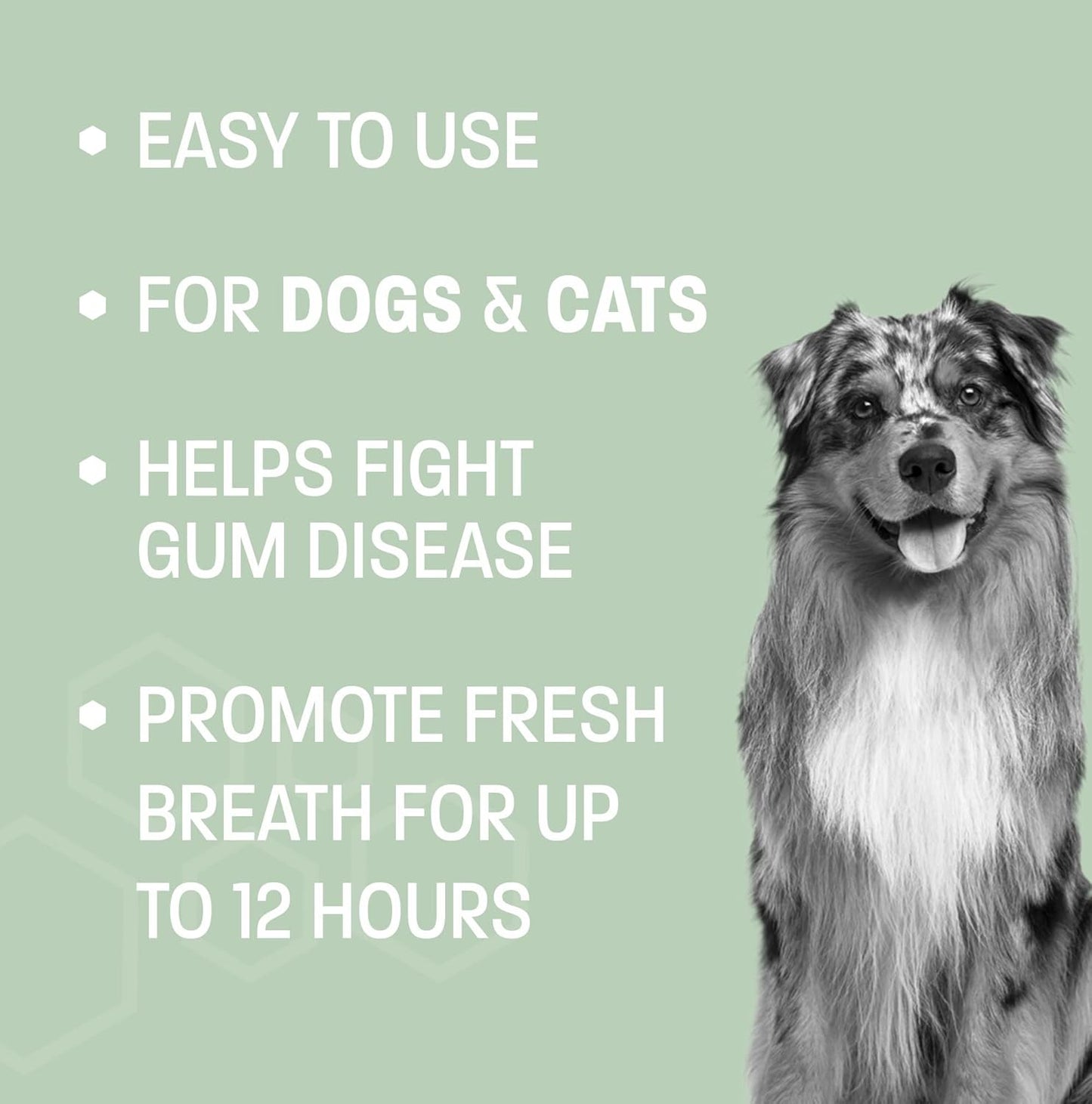 Dog Breath Water Additive - Cat & Dog Water Additive for Dental Care - Dog Dental Water Additive for Dogs Teeth and Bad Breath Treatment for Dogs and Cats - Odorless & Tasteless - 8 oz