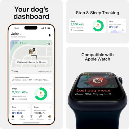 New Fi Series 3+ Smart Dog Tracker Collar [12 Month Membership Included] GPS Tracker for Dogs with Health & Behavior Monitoring, Escape Alerts, Waterproof, LED, Apple Watch Compatible (Gray, Medium)
