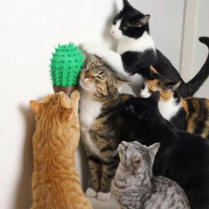 PetPhindU Cat Face Scratchers Self Groomer for Clawing, Stretching, and Grooming Built-in Catnip Compartment Wall Mounted Corner Brush (Green,One Size)