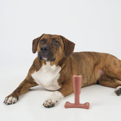 SPOT Bam-Bones Plus T Bone – Bamboo Fiber & Nylon Dog Chew Toy for Moderate to Aggressive Chewers, Durable Long Lasting & Non-Splintering, Beef Flavor Toy for Adult Dogs & Puppies Under 60 lbs, 6 in