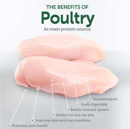 Nature's Protection Cat Dental Treats - Crunchy Oral Care Chews for Cat Teeth Cleaning for Adult Cats - No Bad Breath, Less Hairball (Superior Care - Poultry, 2.64 oz)