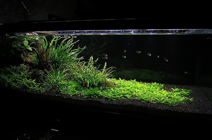 Ultum Nature Systems Controsoil - Freshwater Aqua Soil Substrate for Fish, Shrimp, Live Plant Propagation and Aquascaping - 6.8pH Low Ammonia, Volcanic Ash - Black, Normal (3 Liter | 6LB)