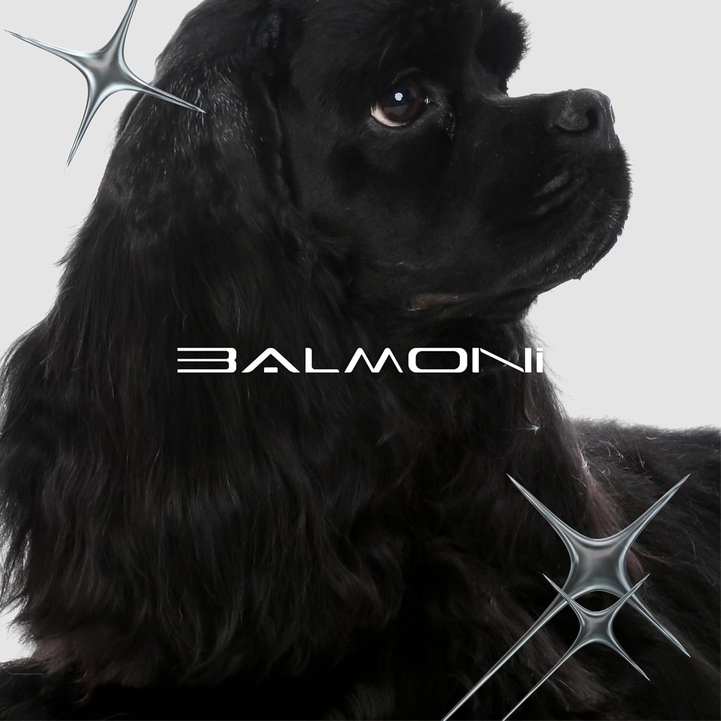 Professional A5#50 Detachable Clipper Blade – 0.2mm (1/125”) – Powder Metallurgy + Titanium-Ceramic, Low-Heat High-Precision – Fits Wahl, Andis, Oster, Heiniger A5 Clippers