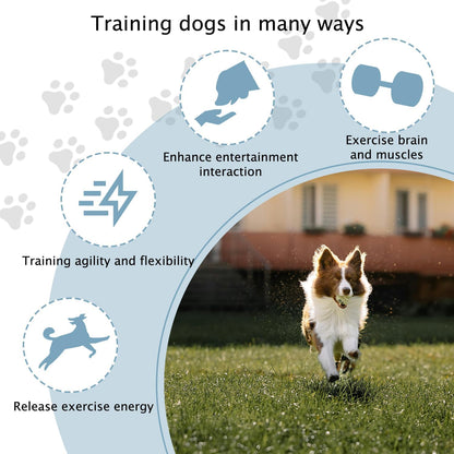 TNZMART Dog Agility Hurdle Cones Pet Jump Training Set Dog Agility Course Backyard Set Adjustable Obstacle Training Set (Blue, 6 Sets)