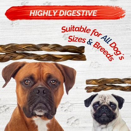 Braided Collagen Sticks for Dogs 10 Pack - 6 Inches - Long-Lasting Alternative to Bully Sticks, Rawhide-Free Collagen Chews w/Chondroitin & Glucosamine for Joint Support & Dental Health