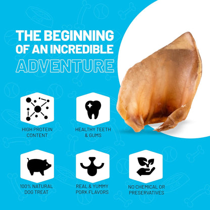 Sitka Farms Bully Sticks 6 Inch 40 Count and Pig Ears 12 Count Premium Dog Treats Bundle