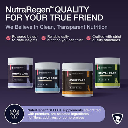 Senior Dog Digestive and Immune Support Bundle | Mushroom & Probiotic Powder Supplements to Support Daily Wellness, Comfort, and Gut Balance, 7 Bn CFU | 60 Servings, 4.0 oz