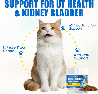 Just Try 300 Bites 6.35 oz Urinary Tract Bites for Cats - Cranberry & D Mannose Formula for Bladder Health - Prevent UTI & Promote Urinary Comfort - Grain Free, Natural Ingredients Cat Supplements