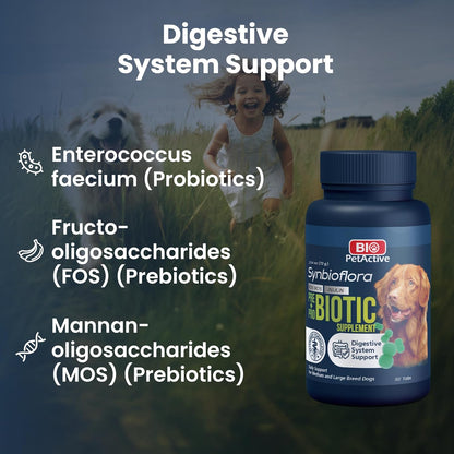 Bio PetActive Synbioflora Digestive Support for Medium and Large Breed Dogs | Probiotics & Prebiotics Supplement | Supports Digestion, Gut & Stomach Health | Helps with Diarrhea and Gas | 60 Chews