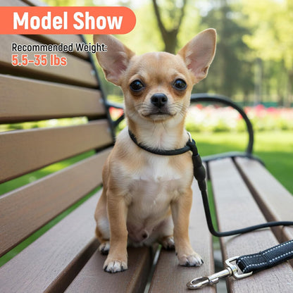 78 Inch Slip Lead Heavy Duty Dog Leash - No Pull Training Leash - Nylon Dog Slip Lead with Adjustable Loop for Small Medium Dogs