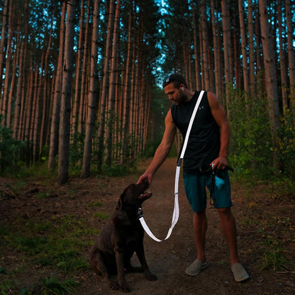 Hands Free Dog Leash,Galaxy Reflective Crossbody Leash, 5.4–9.5 ft Adjustable Heavy Duty Waist Belt for Medium and Large Dogs Walking,Running,Jogging,Training,Night Walking （290cm, Green