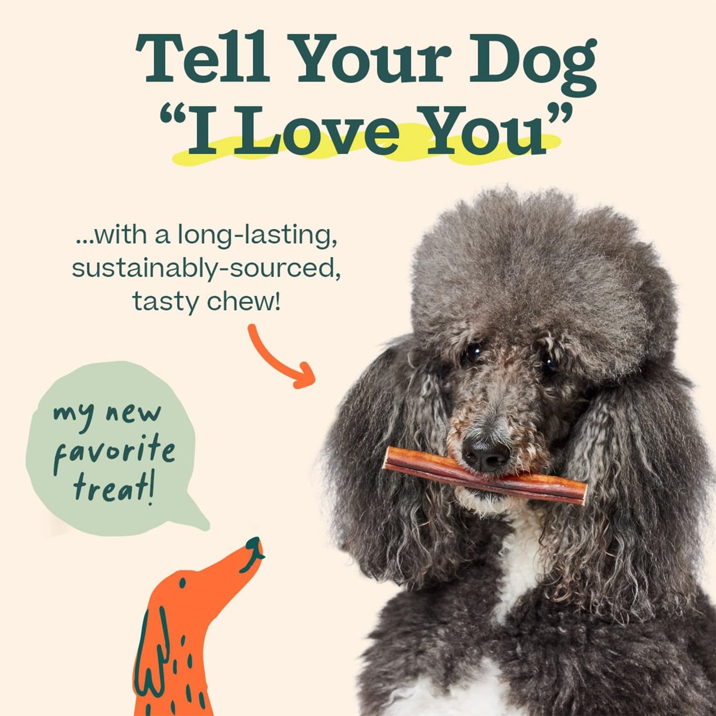 WOOF Bully Sticks Dog Treats - Chew Sticks for Dogs - Long-Lasting Dog Chew Treats - Made with Free-Range, Grass-Fed Beef - 6" Sticks - 5pk