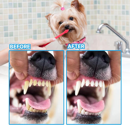 200 Pcs Dog Toothbrush Dual Headed Dental Brushes Puppy Tooth Brushing Kit Long Handle Toothbrush for Small to Large Dog, Cat, Puppy & Kitten, 10 Colors