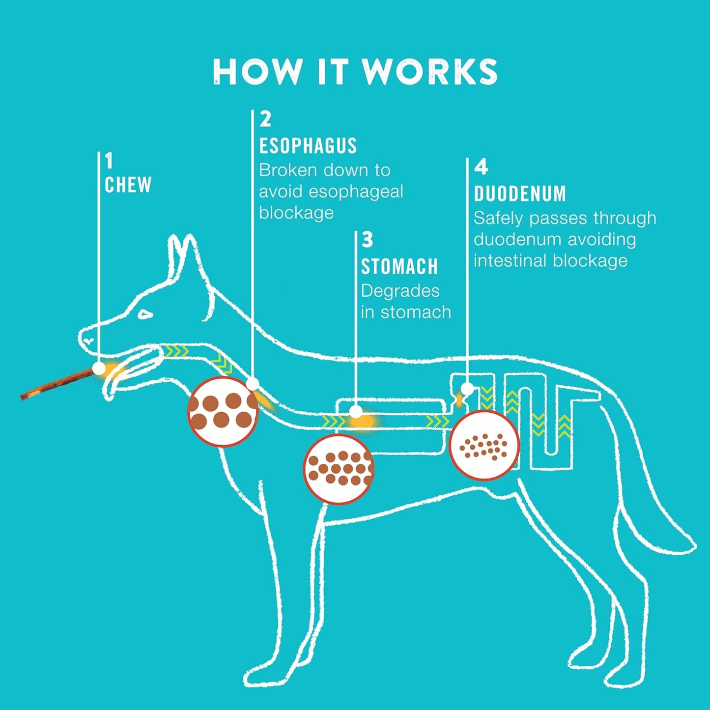 TRURANCH Collagen Chips - Collagen Dog Treats - Long Lasting Healthy Joint Support Dog Treat - Rawhide Alternative Chips - Skin & Coat Health - Made with Real Peanut Butter, 1 Bag, 8.2 oz