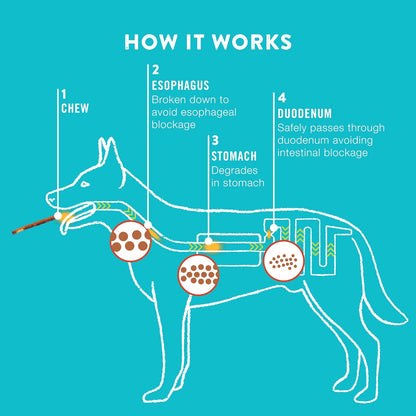 TRURANCH Collagen Chips - Collagen Dog Treats - Long Lasting Healthy Joint Support Dog Treat - Rawhide Alternative Chips - Skin & Coat Health - Made with Real Peanut Butter, 1 Bag, 8.2 oz