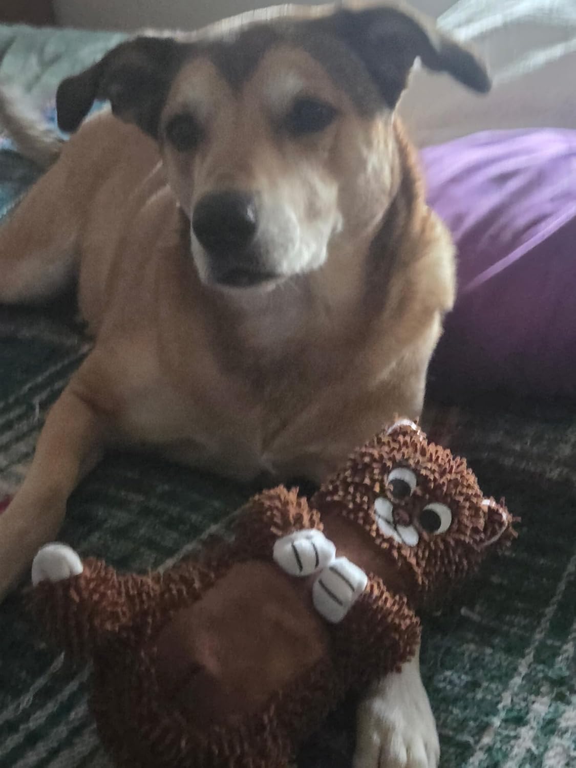 SNOODLE Tough Dog Chew Toy – Indestructible Fabric for Aggressive Chewers – Interactive Pet Toys & Puppy Teething Toys – Long Lasting Dog Chews – Small Dog Toys & Durable Puppy Chew Toys