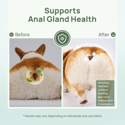 HICC PET Wipes for Dogs & Cats, Vet Recommended Cleaning Deodorizing & Soothing Allergy Infections Anal Gland Wipes, Hypoallergenic Hydrating & Nourish Fur Dog Grooming Wipes for Paw, Butt, Body