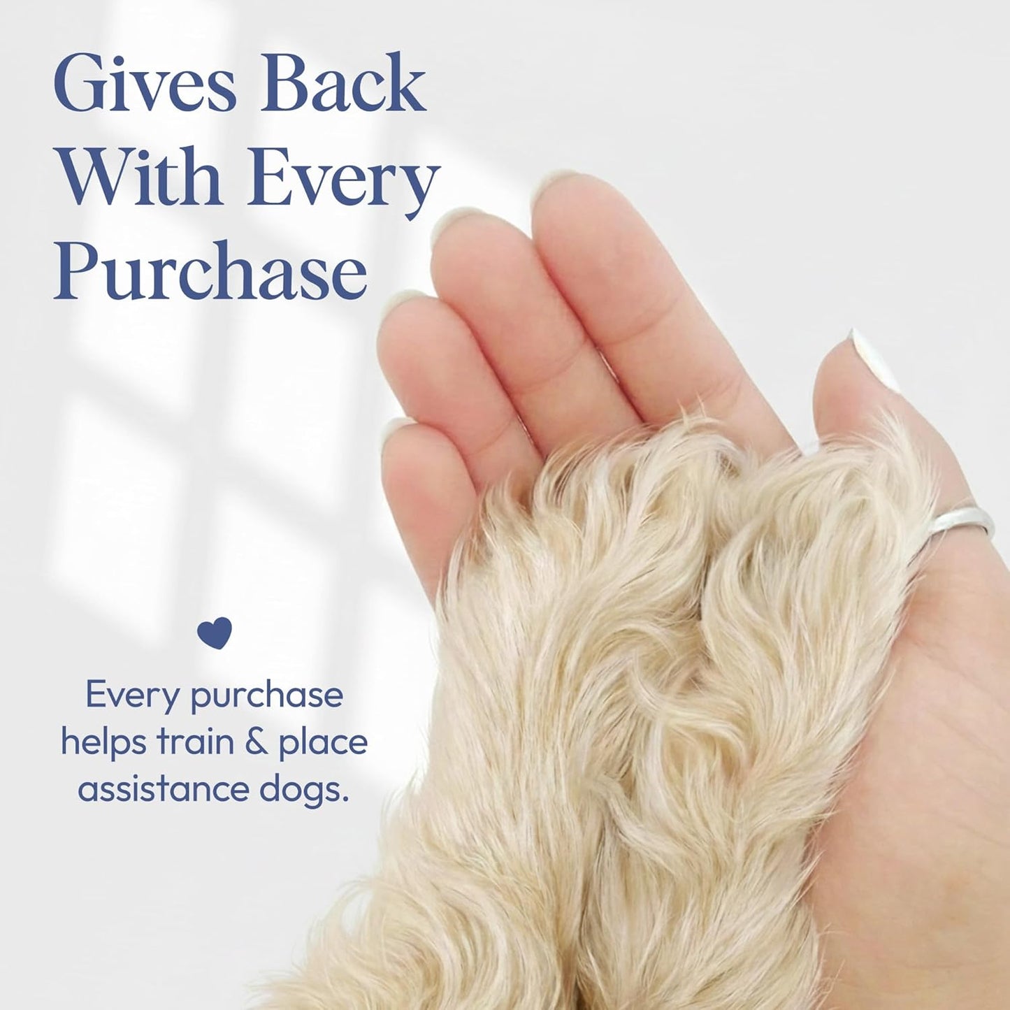 Dog Cologne Spray with Long Lasting Jasmine, Musk, and Vanilla Scent - Vegan Alcohol-Free Pet Deodorizer for Smelly Dogs - Water-Based Luxury Puppy Grooming Fragrance - Sweet Snooze, 100ml