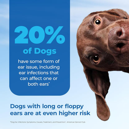 Vetnique Oticbliss Cat & Dog Ear Infection Treatment/Dog Ear Allergy Relief Drops, MicroSilver Yeast Infection Treatment for Dogs, Hydrocortisone for Itching, Redness Swelling (Ear Infection)