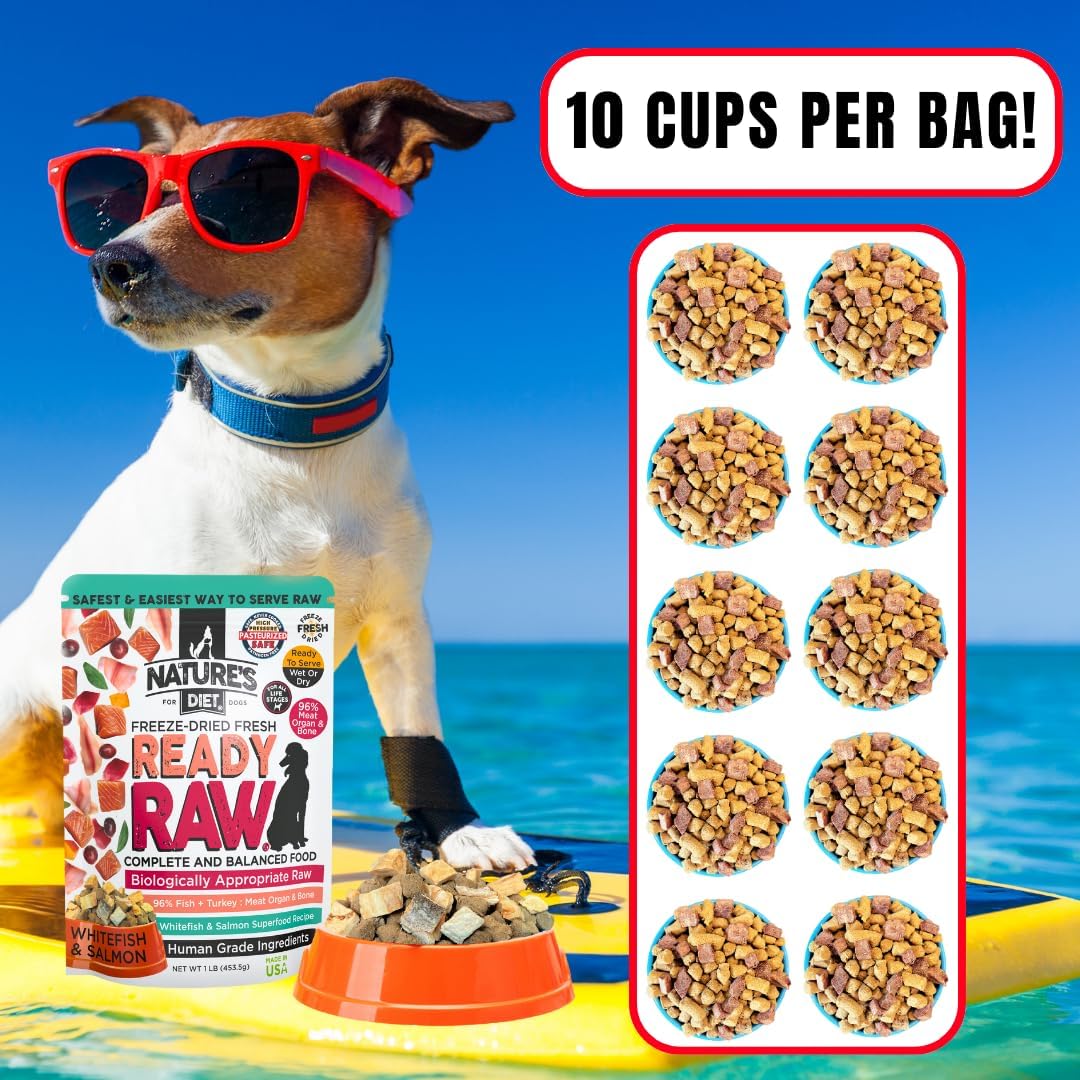 Nature's Diet Ready Raw : Freeze-Dried Raw Dog Food, Salmon & Whitefish, Human Grade, High Pressure Pasteurized (HPP), 96% Meat, Organ, Bone, Safe & Natural, Dry or Wet Feeding