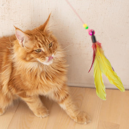 12 Pack Cat Feather Toys Refills with Bells Cats Wand Replacement Feathers Toy Natural Feather Replacement for Exercise Play Vibrant Wand Attachments Safe Cats Toy Accessories for Bored Indoor Cat