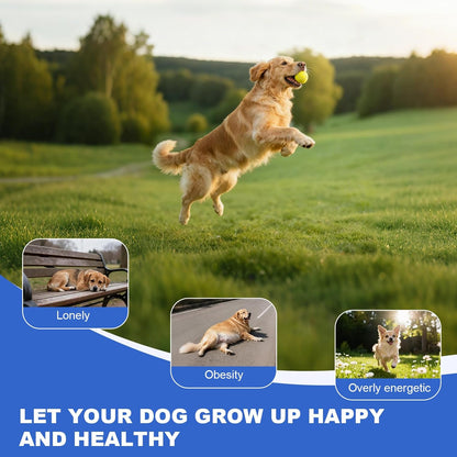 Automatic Ball Launcher for Large Dogs,Indoor/Outdoor Interactive Dog Toy,USB Rechargeable Ball Thrower, 40-80Ft,Includes 8 Etpu Balls(2.5"),Blue