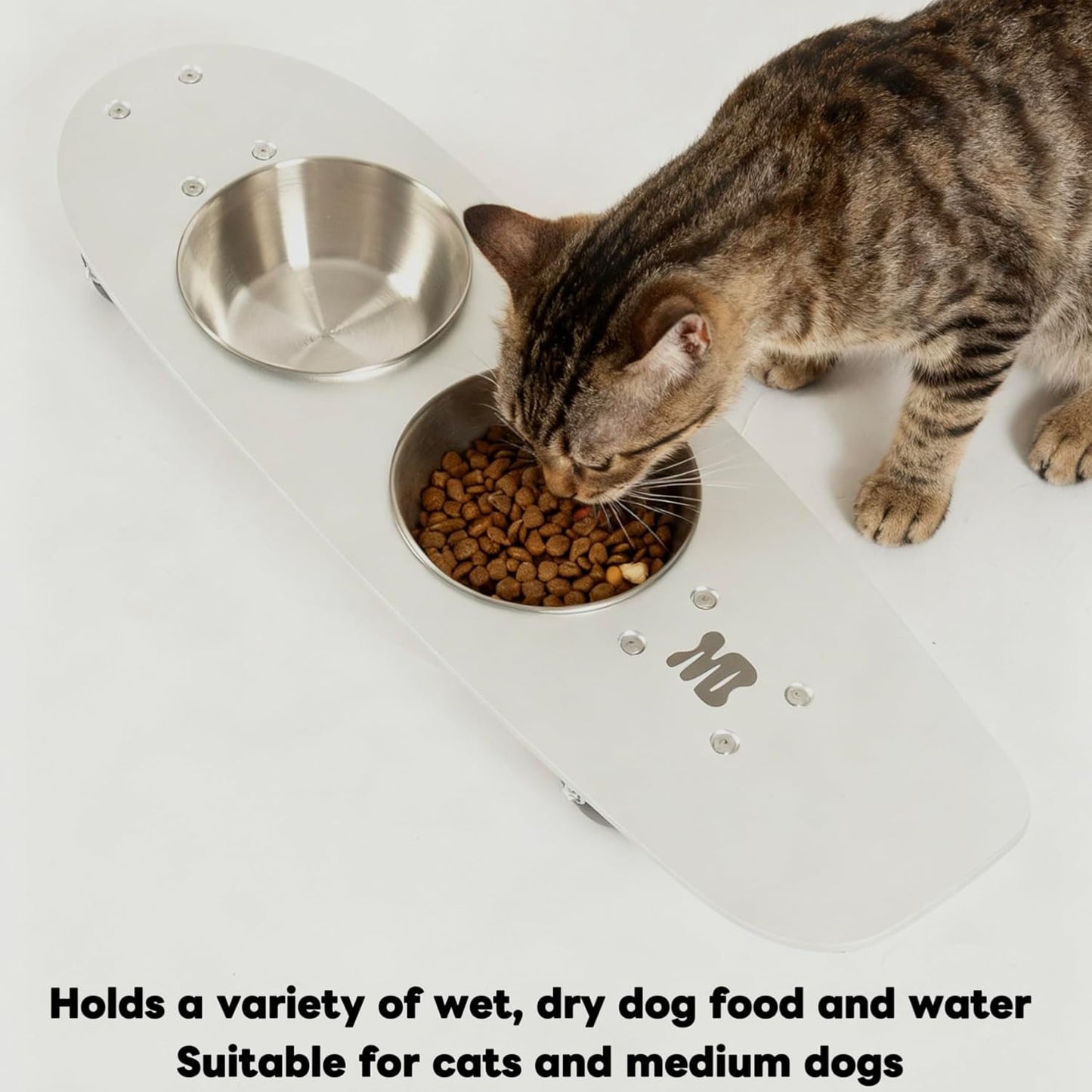 Dog Bowls Water and Food Cat Bowl Stainless Steel Bowl Pet Feeder Bowls for Medium Dogs and Cats Puppies, Silver