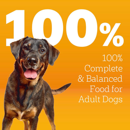 Pedigree High Protein Adult Dry Dog Food, Beef and Lamb Flavor, 18 lb. Bag