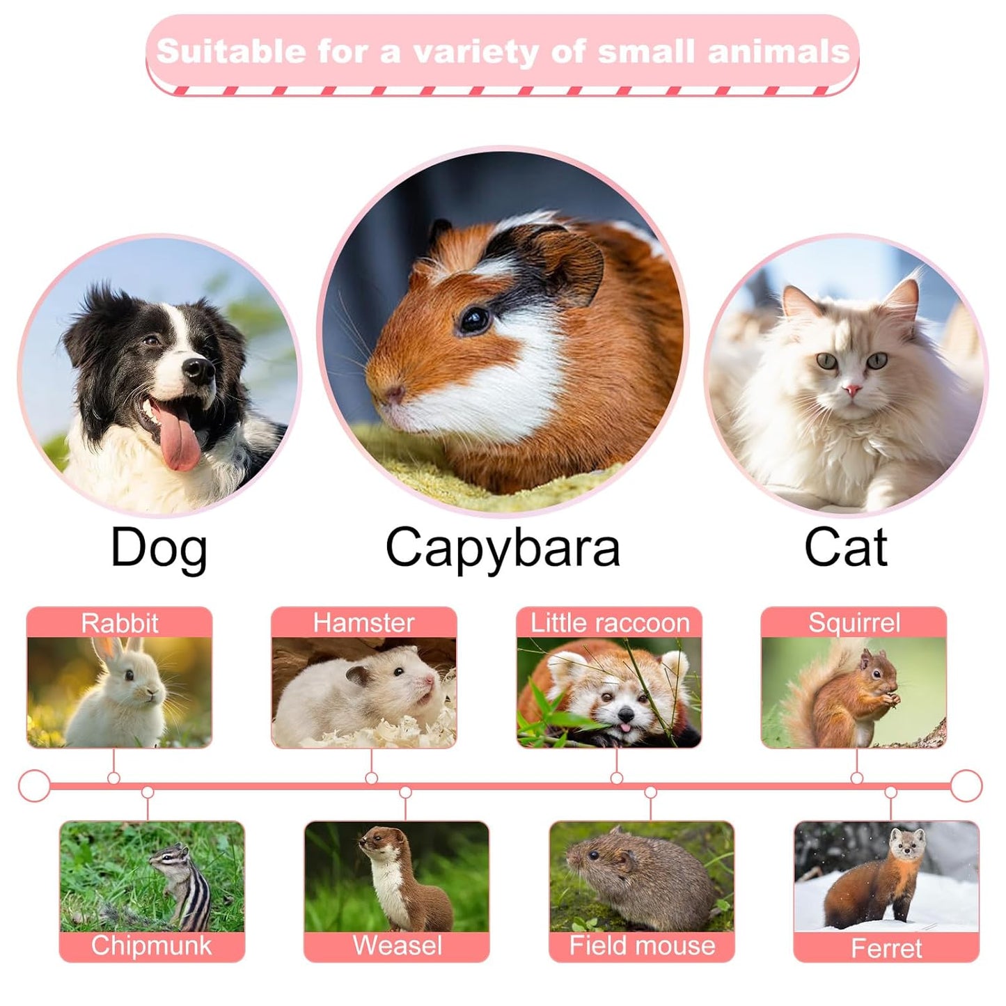 Guinea Pig Brush Kit Hamster Cleaning Grooming Comb with Nail Clipper Trimmer, Nail Files - Professional Small Animal Grooming Tool for Rabbit, Bunny, Puppy, Kitten, Ferret