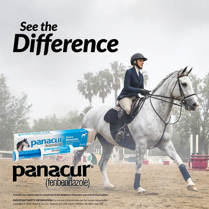 (3 Pack) PANACUR Dewormer Horse Paste 10%, 100mg Each