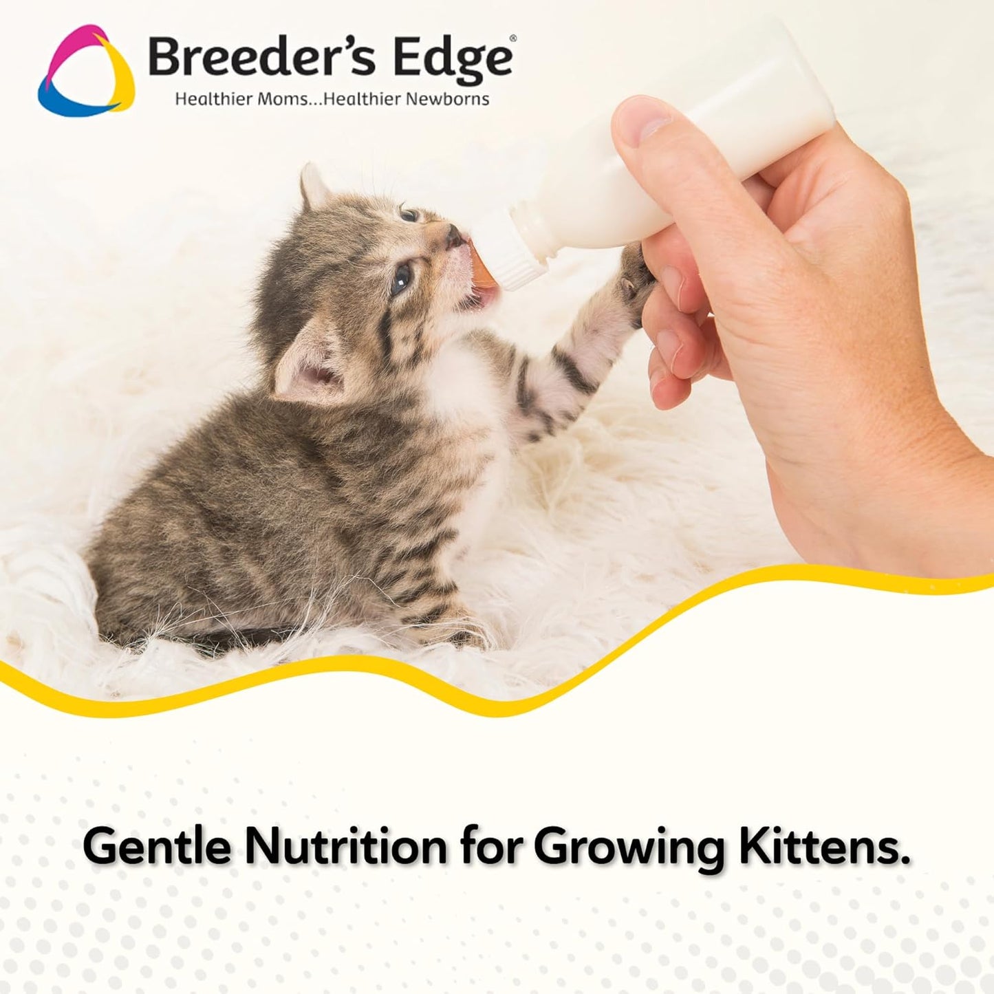 Breeder's Edge Foster Care Feline - Powdered Milk Replacer - for Kittens & Cats - 12oz