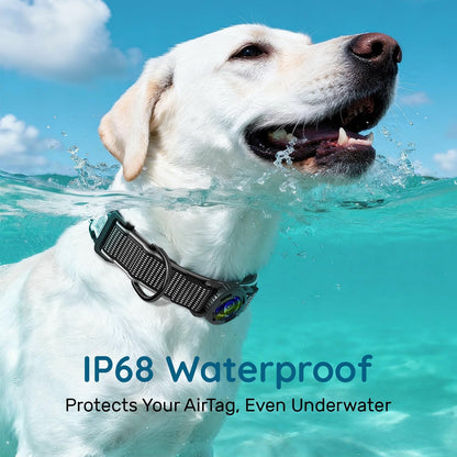 for Airtag Dog Collar with Air Tag Holder Waterproof, Ultra-Reflective, Nylon Padded with QR Code Buckle for Large Dogs (Black, L)