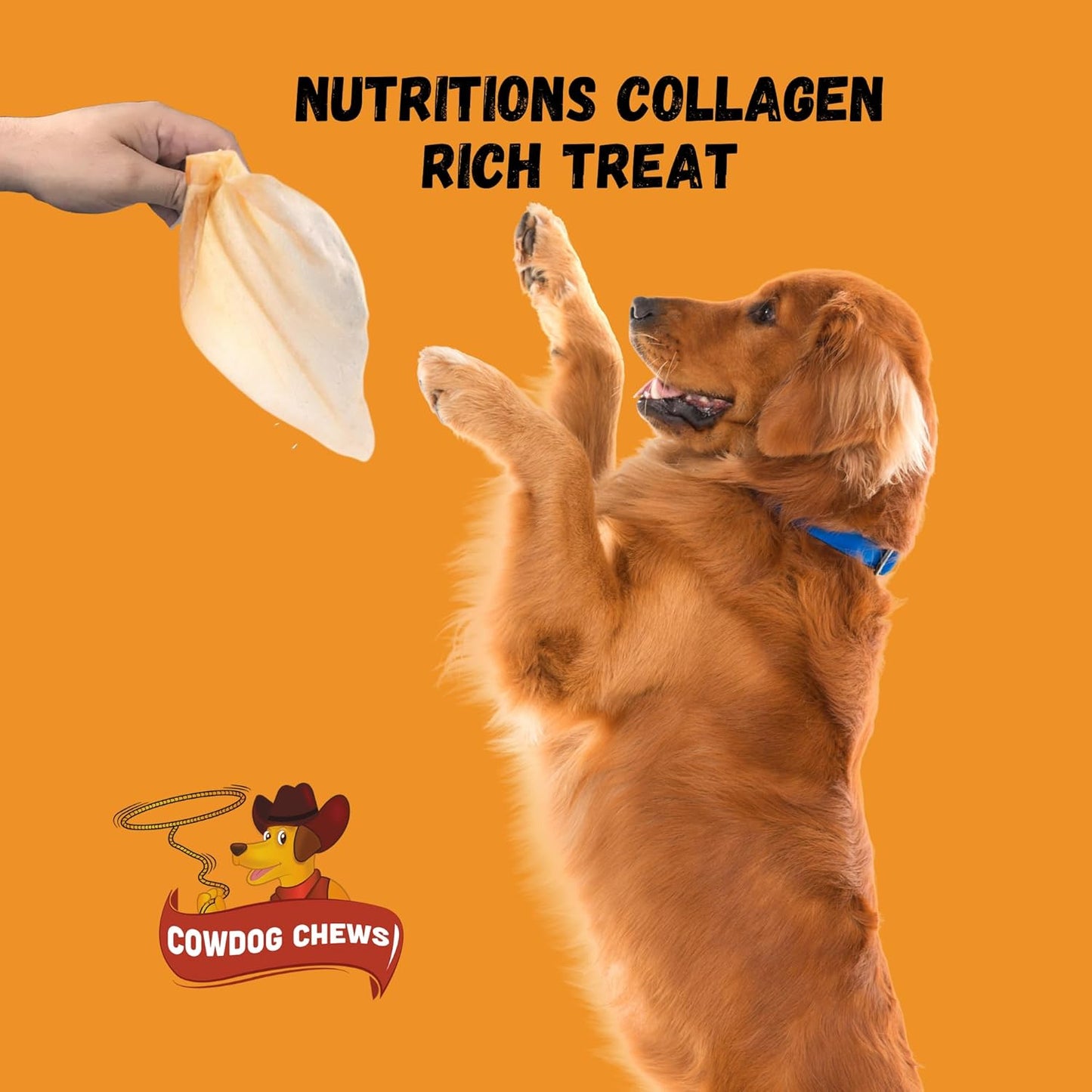 Cowdog Chews Premium Cow Ears for Dogs (25 Pack) – 100% Natural, Safe & Digestible, Collagen Rich, Long Lasting Chews for Healthy Teeth