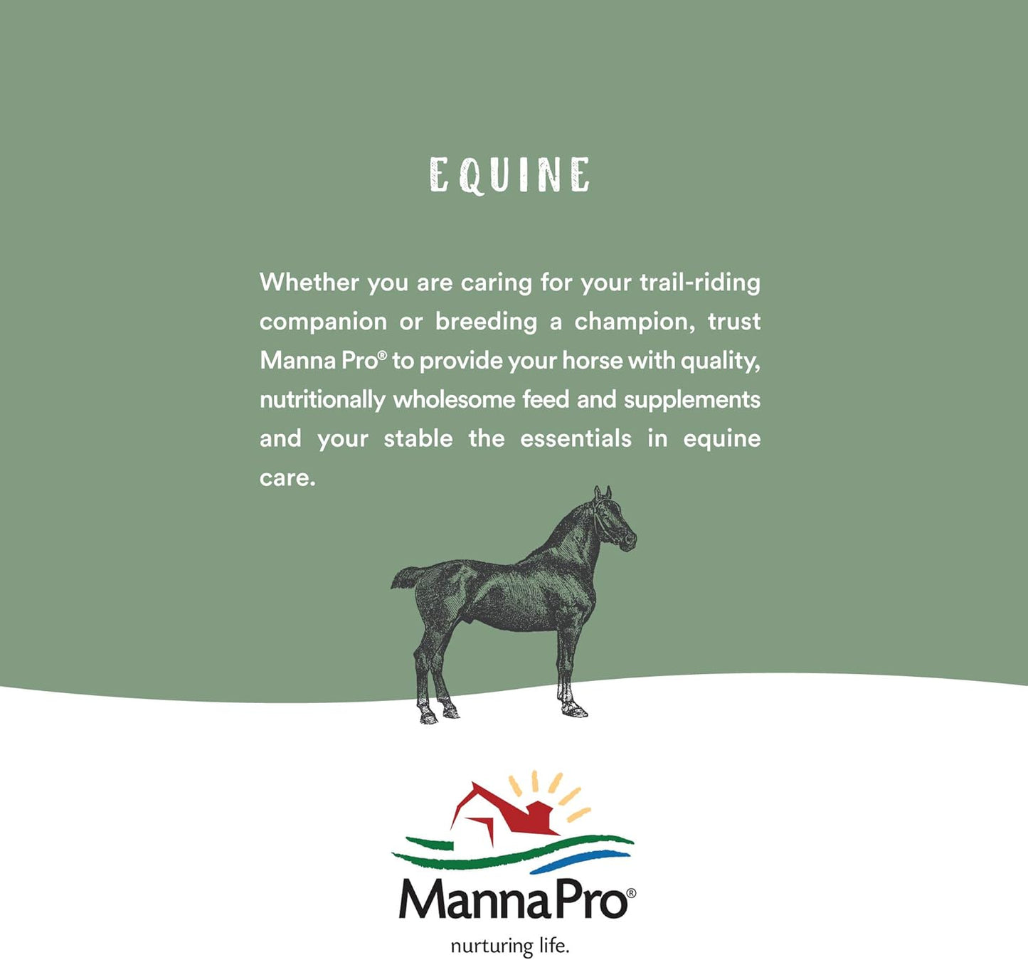 Manna Pro Corona Topical Analgesic Veterinary Liniment 16oz