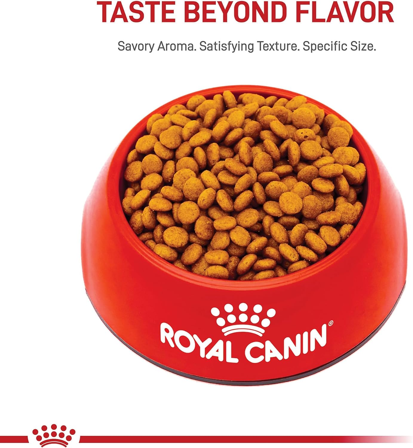 Royal Canin Size Health Nutrition X-Small 7+ Adult Dry Dog Food, 2.5 lb Bag