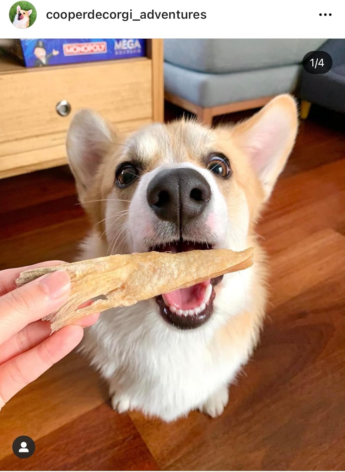 Freeze-Dried NZ King Salmon Pieces (Salmon Bellies) Healthy Dog & Cat Treats - Single Ingredient, No Artificial Colours, Additives, or Preservatives 2.29oz (65g) Bag