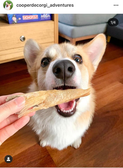 Freeze-Dried NZ King Salmon Pieces (Salmon Bellies) Healthy Dog & Cat Treats - Single Ingredient, No Artificial Colours, Additives, or Preservatives 2.29oz (65g) Bag