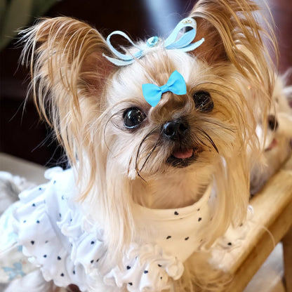 Dog Hair Bows with Clips 2Inch Girl Small Dog Apparel Accessories for Pet Puppy Cat Kitten Rabbit Hair Bows Clips 40PCS