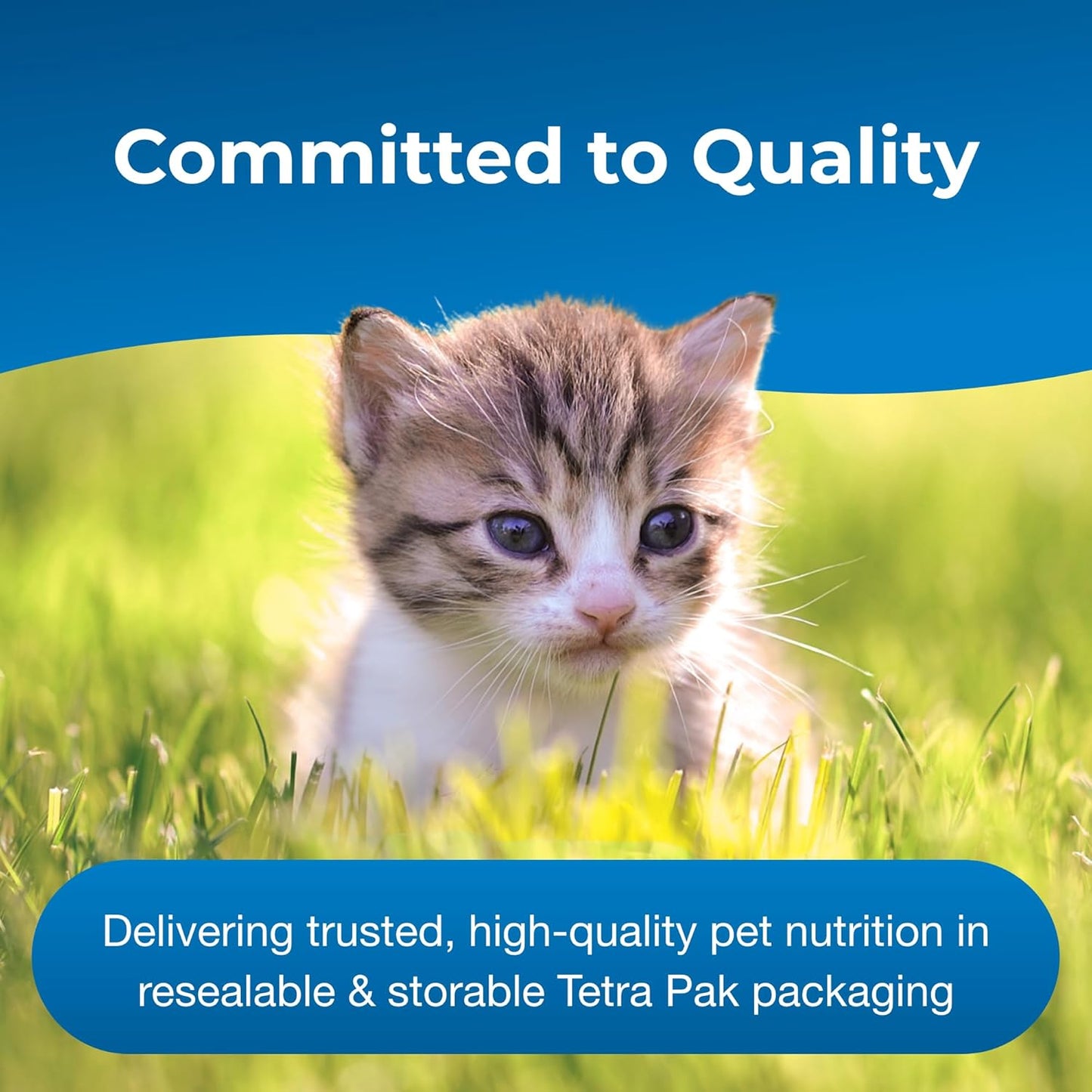 PetAg KMR Kitten Milk Replacer Liquid - 16 oz - Ready-to-Feed Formula with Vitamins for Kittens - Easy to Digest