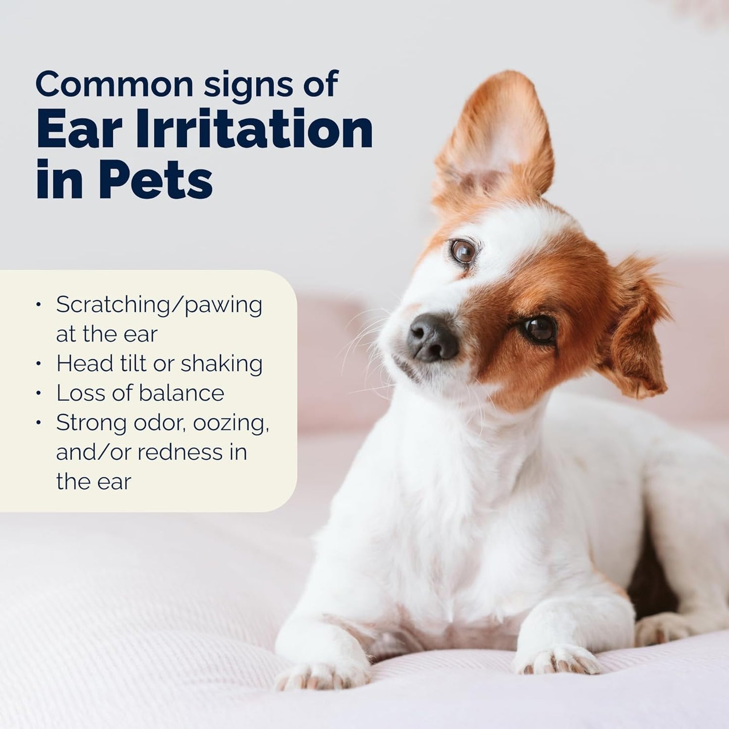 Vetnique Oticbliss Cat & Dog Ear Infection Treatment/Dog Ear Allergy Relief Drops, MicroSilver Yeast Infection Treatment for Dogs, Hydrocortisone for Itching, Redness Swelling (Ear Infection)