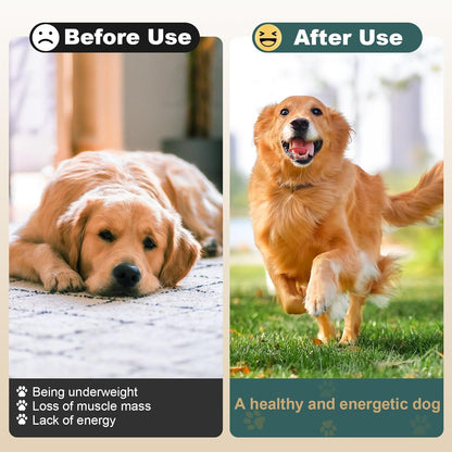 Dog Weight Gainer, High Calorie Dog Supplements, Senior Dog Supplements with Multivitamins for Support Healthy Weight & Maintain Muscle Mass, Chicken Liver Flavor, 4oz (114g)